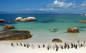 South Africa tour  packages from Hyderabad to Air Balloon, National Park, Port Elizabeth, Whale Watching  tour packages from Hyd & Best tour operators from Hyd Love My Tour
